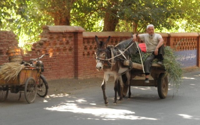 Silk Road Lodges