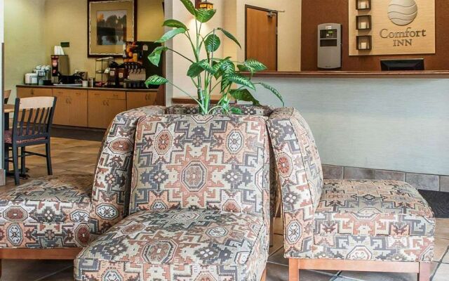 Comfort Inn & Suites Midtown