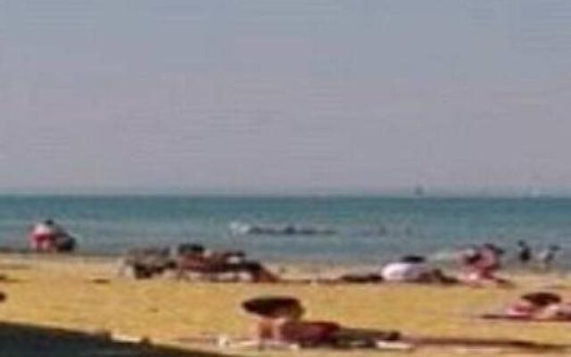 Homeleigh Guesthouse - Isle of Wight