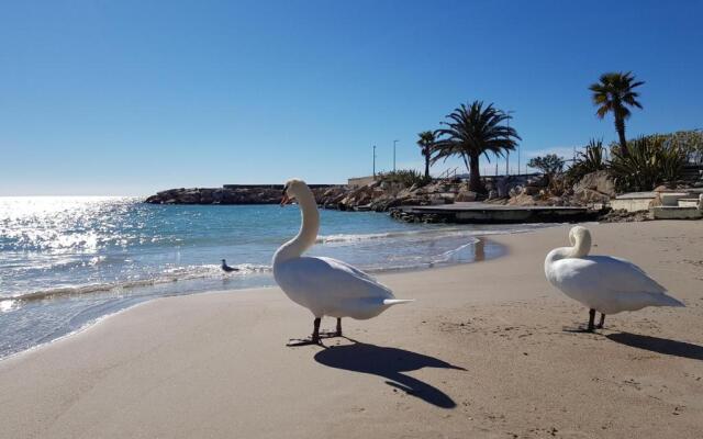 Appartement Cannes, 3 pièces, 4 personnes - FR-1-470-1