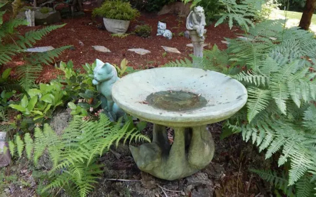 Green Cat Guest House