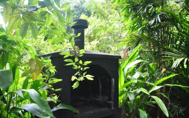 Jungle Fence