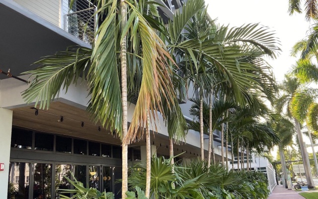 The March Hotel