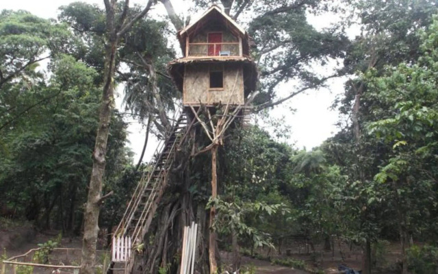 Tanna Lava View Bungalows