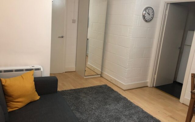 Spacious Flat in King's Cross