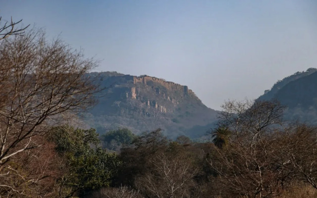 Sawai Shivir Ranthambore by TUTC