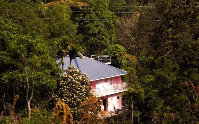 Drizzle Valley Cottage