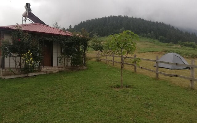 Pilav Dagi Yavuzyilmaz Tesisleri