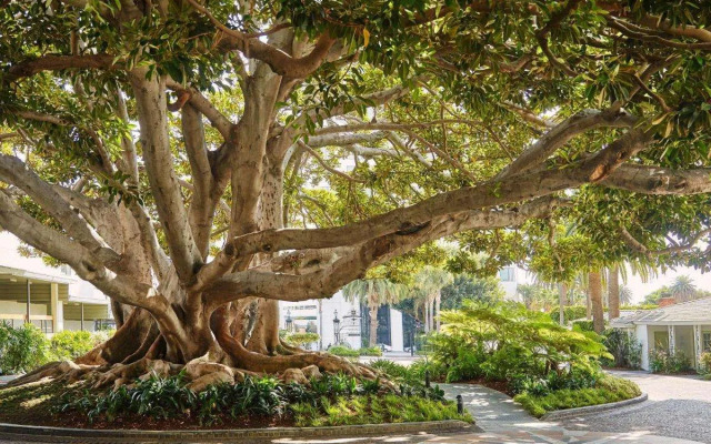 Fairmont Miramar Hotel & Bungalows