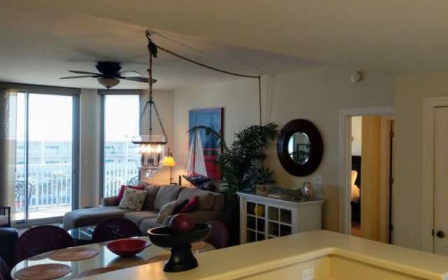 Emerald Dolphin by Surfside VR