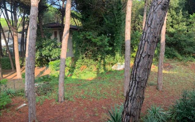 Apartment in Eraclea Mare 40811