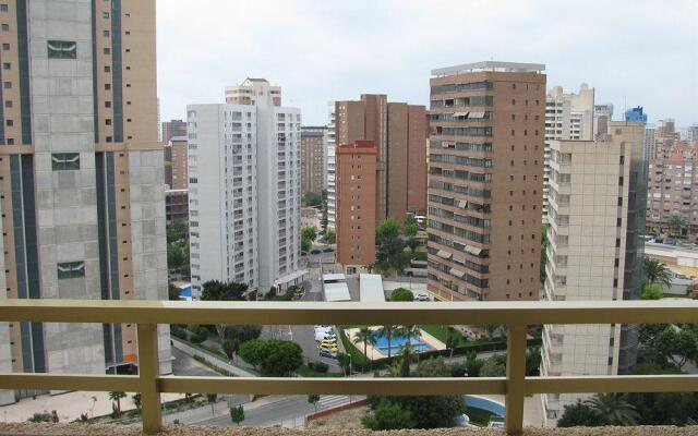 Mariscal VII