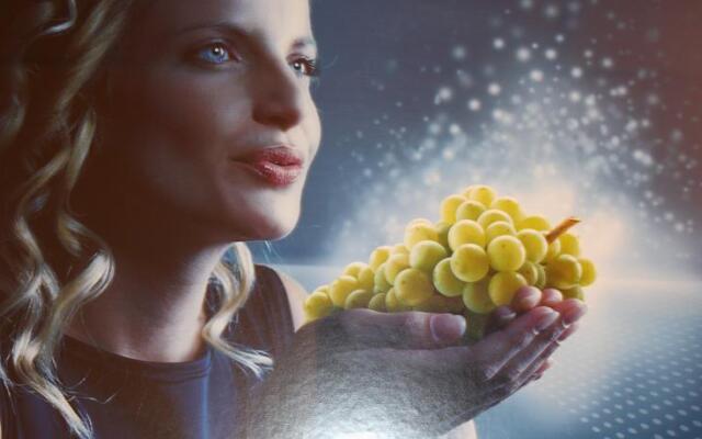 Flair Hotel Vino Vitalis