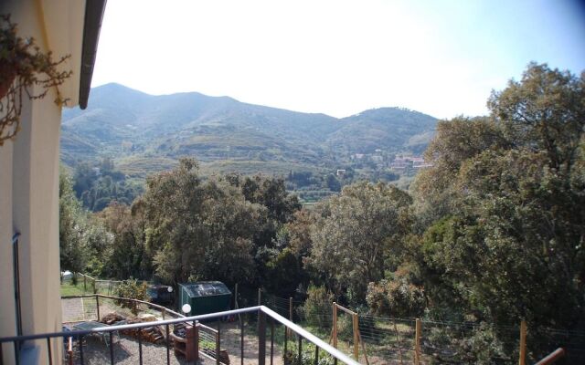 B&B Il Melo Cotogno