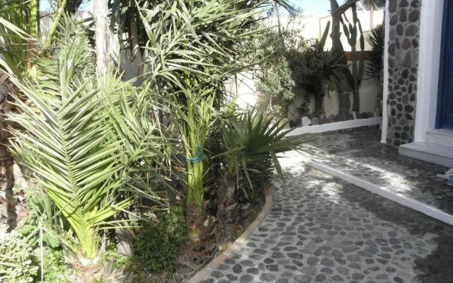 Danae Villa