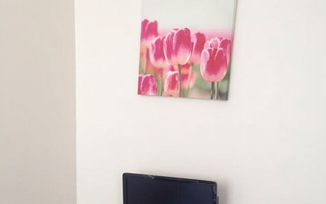Apartment Poisson 1