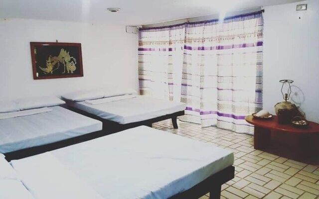 The Pelicans Castaway