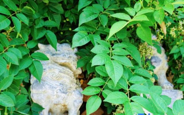 Qingdao Qigu Abalone Island No.85 Homestay