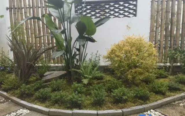 Zhugeliang Homestay