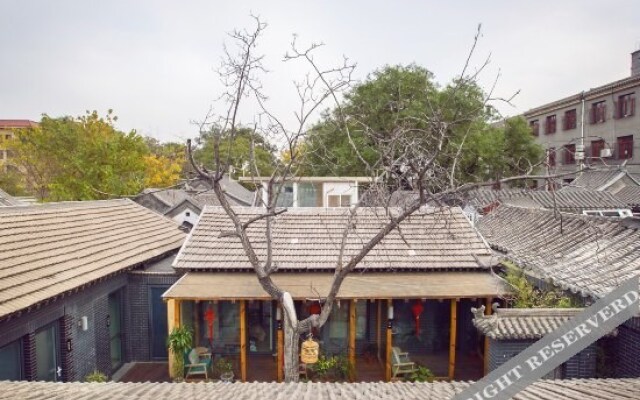 Walnut Tree Courtyard Peking