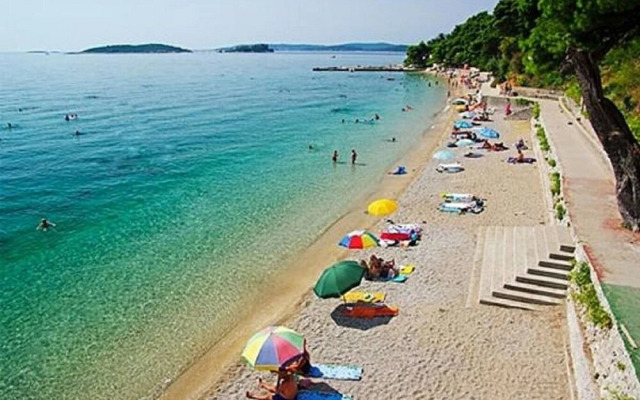 Vida With Garden - A2 - Limun