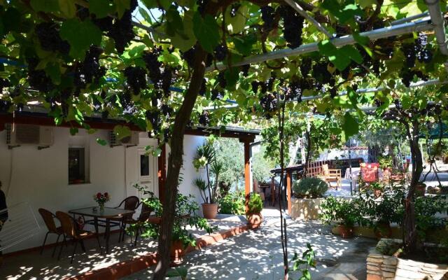 Studios Plaka