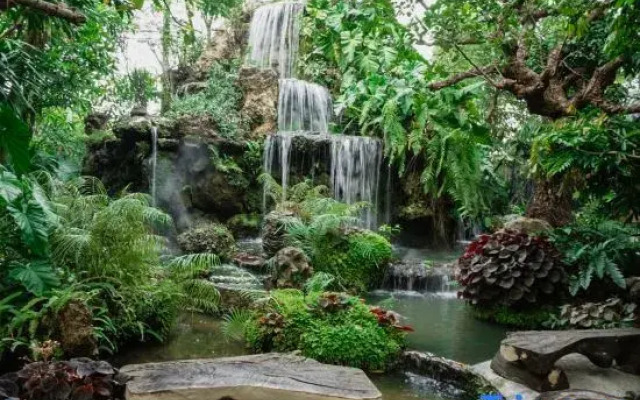 1B1B Apartment at Natural Place