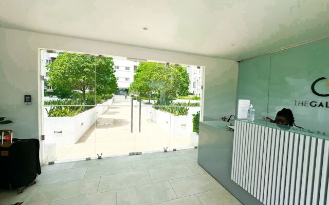The Gallery Apartment