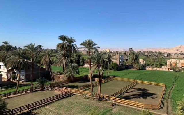 Cleopatra Hotel Luxor