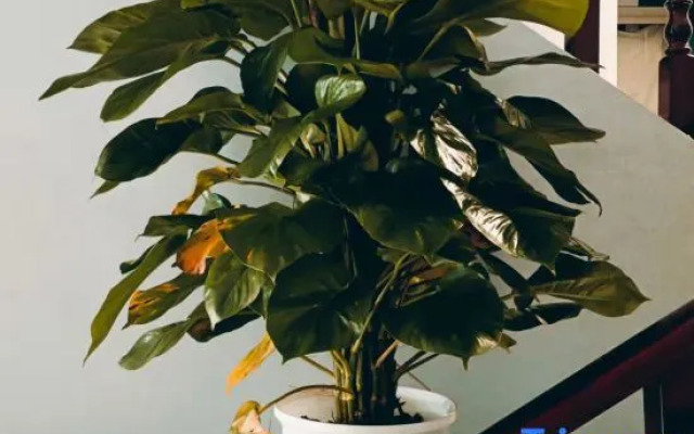 Kemi Hotel (Beijing Wufangqiao Branch)