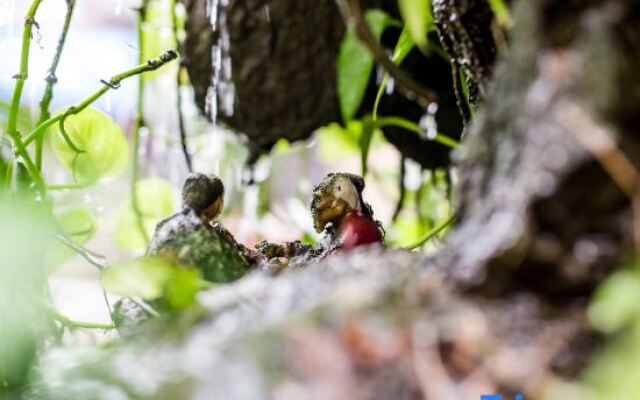 Yuanzhongyuan Leisure Holiday Villa