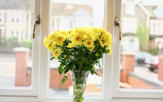 Fishponds Place 359