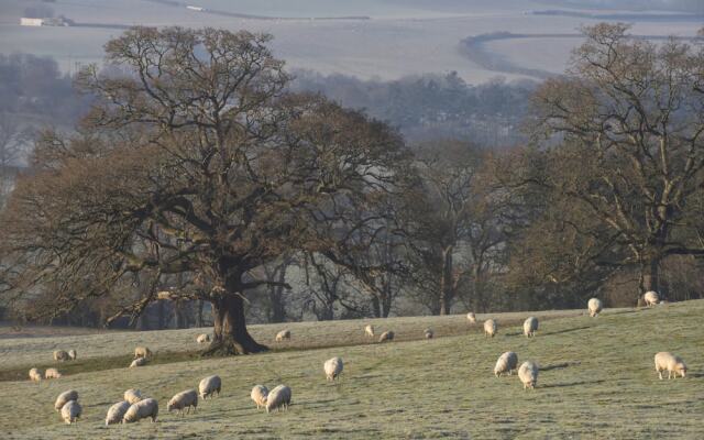 Berties of Otterburn