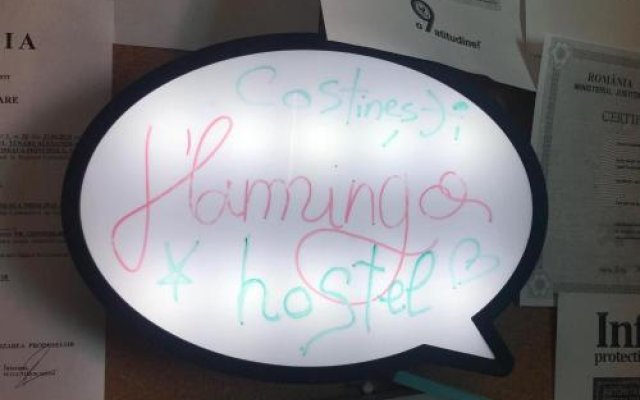 Flamingo Hostel Costinesti