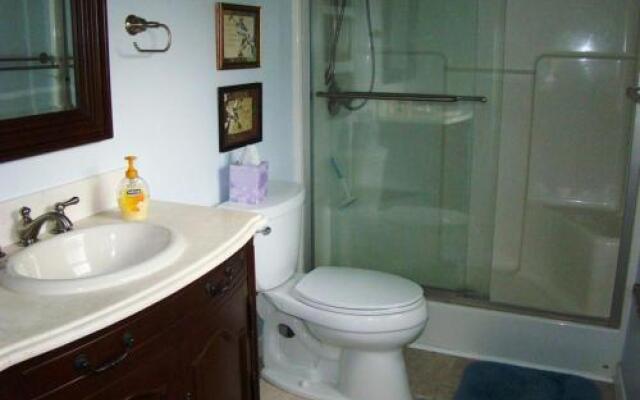 Climbing Bear Creekside Cabin