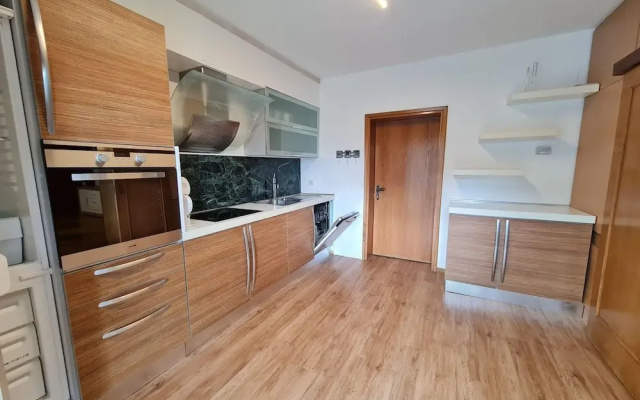 Wonderful Apartment Close to the ski Slope