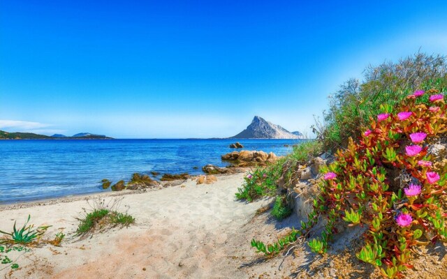 I Fari 76 600mt From The Beach