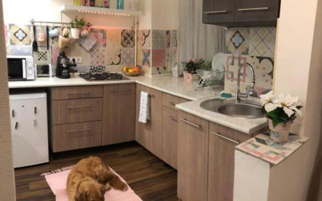 Bpr Stylish Mosaic Home With Terrace