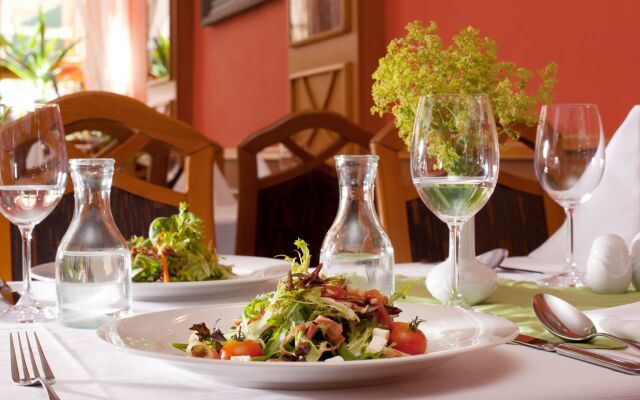 Hotel Concertino Zlatá Husa