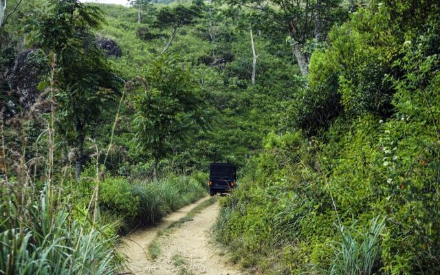 Wild Glamping