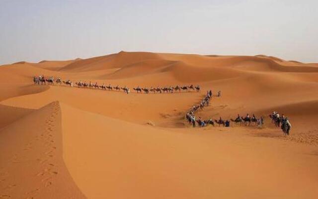 Sahara Camels Camp