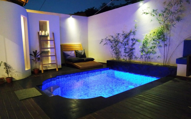 Stay Shark Villas
