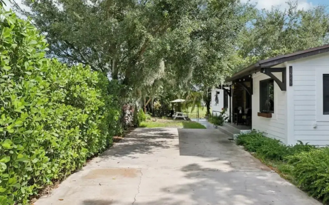 Tropical Miami Oasis