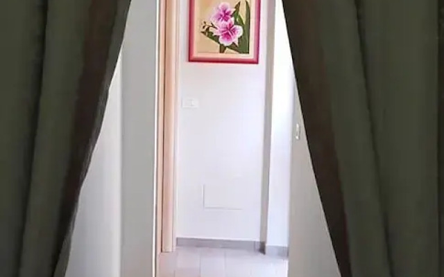 Piccolo Albergo del Musicista