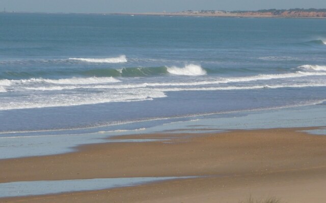 Violetas de Mar