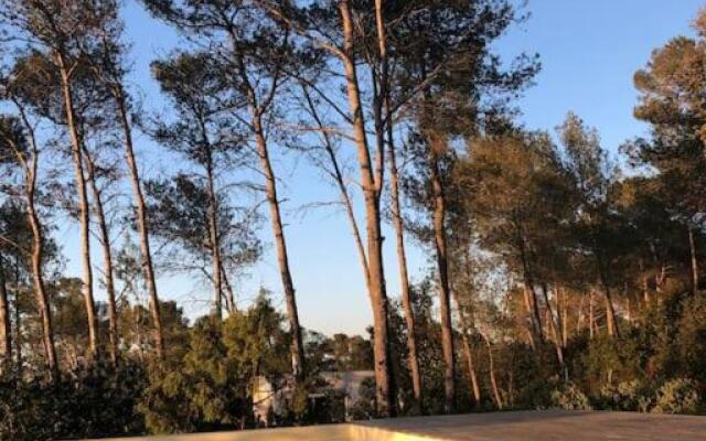 Charming villa with pool and view to Pic St. Loup