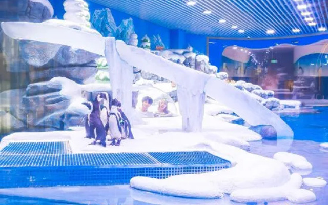 Shanghai Jinqiao Haichang Penguin Resort Hotel