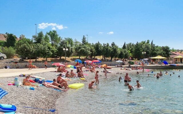 Apartments Cvita