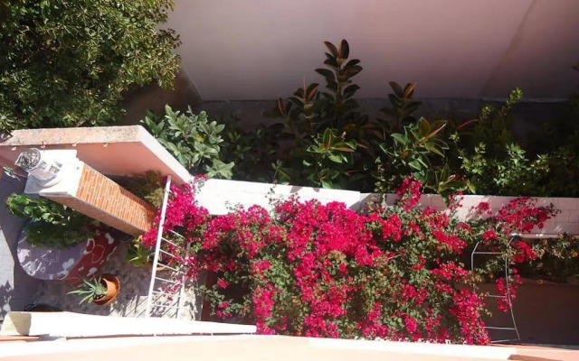 Hotel Aviz