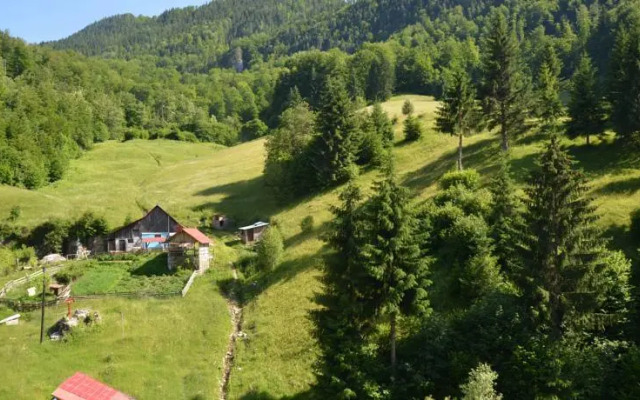 Casa Adina